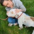Linas (91) : une chienne squelettique saisie en urgence