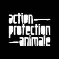 Le nouveau visage d’Action Protection Animale