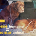 Reportage vidéo : la maison de l&rsquo;horreur