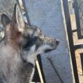 3 ans et demi : abandonnée à son sort.